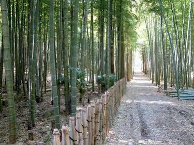 Auberge La Olive Ito (Shizuoka) Ngoại thất bức ảnh